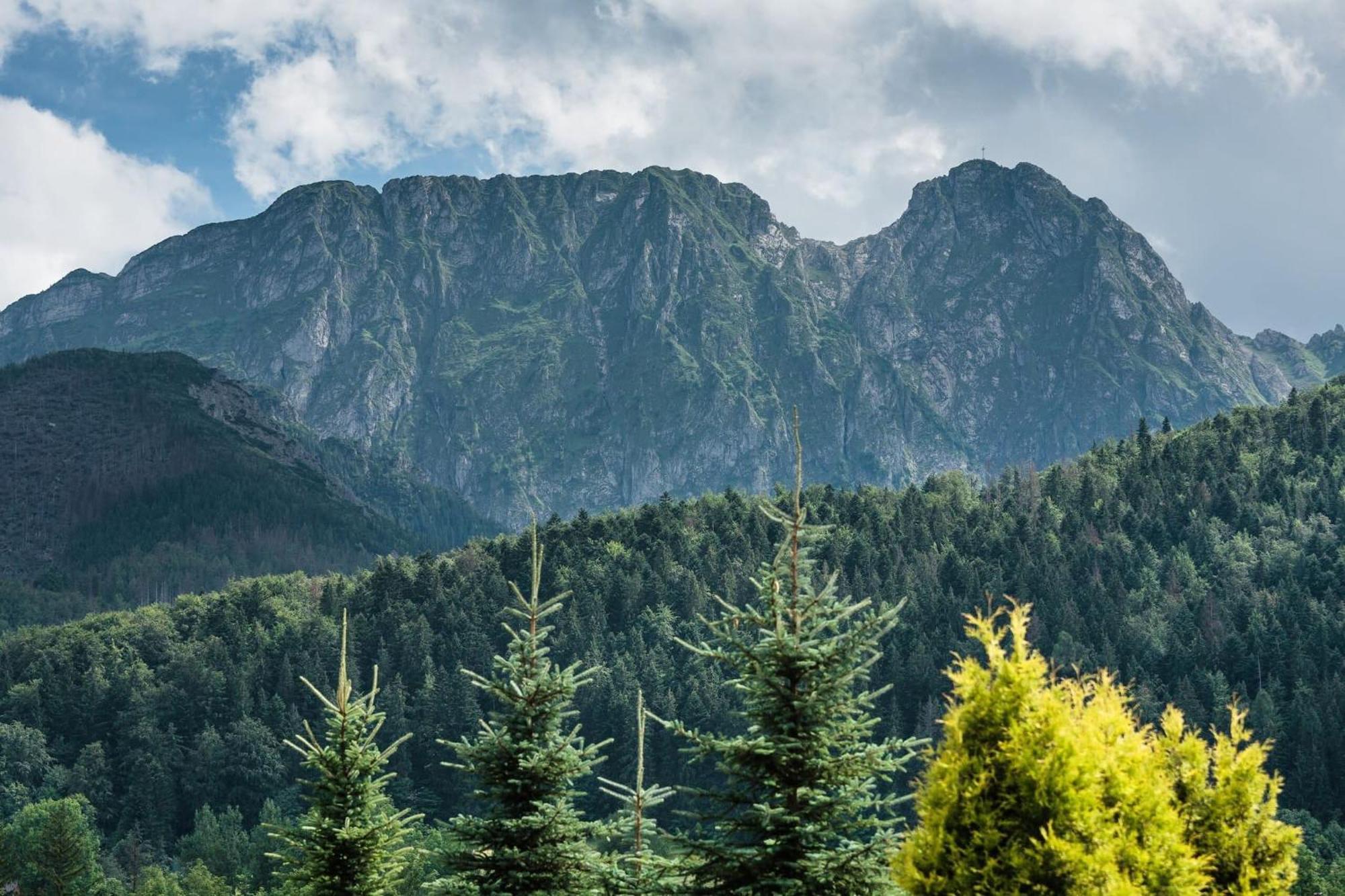 Rent Like Home - Skibowki Zakopane Eksteriør bilde
